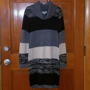 Pink Rose Striped Sweater Dress